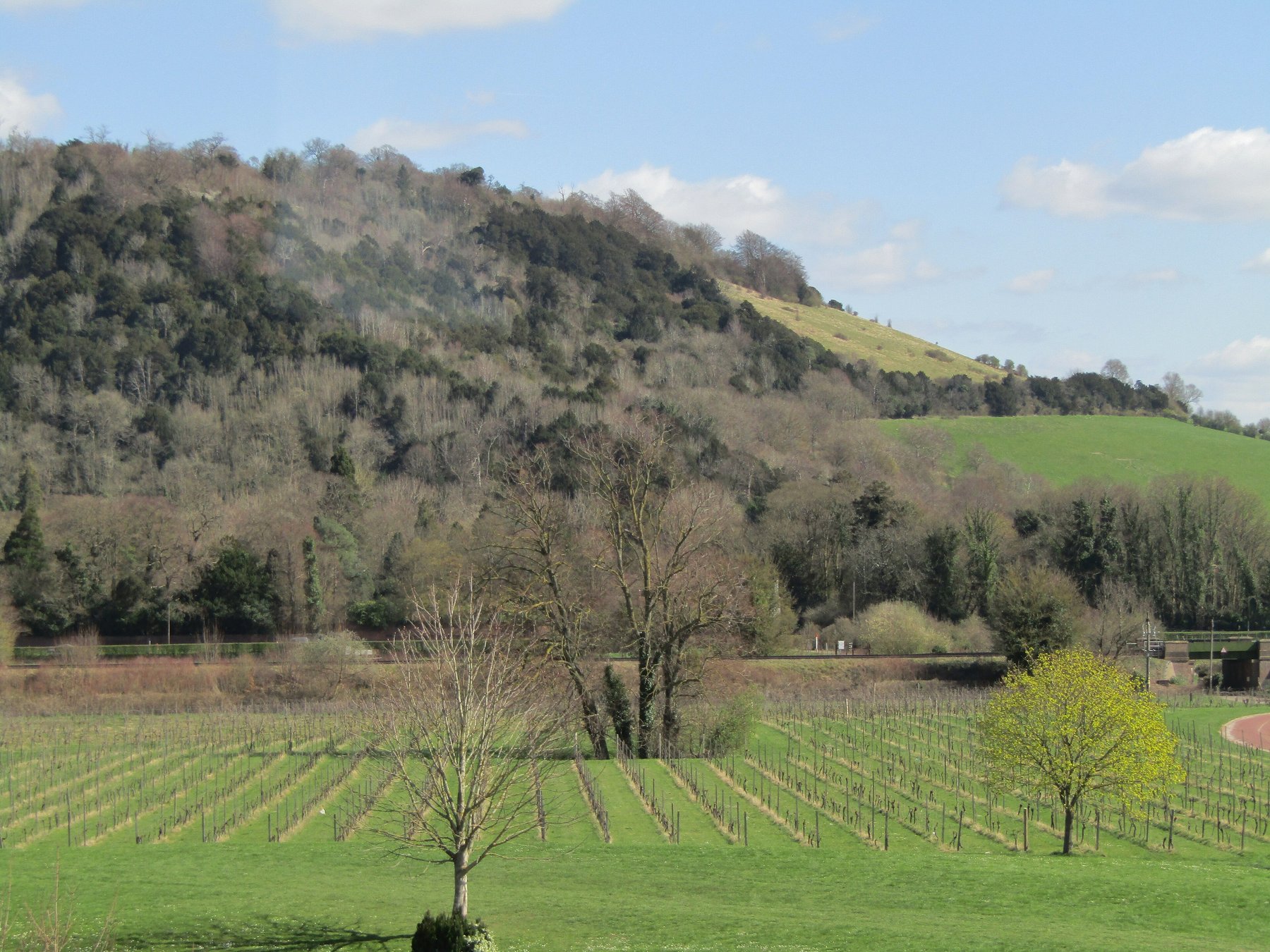Box Hill · el picnic de Emma